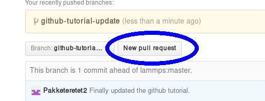 _images/tutorial_new_pull_request.png